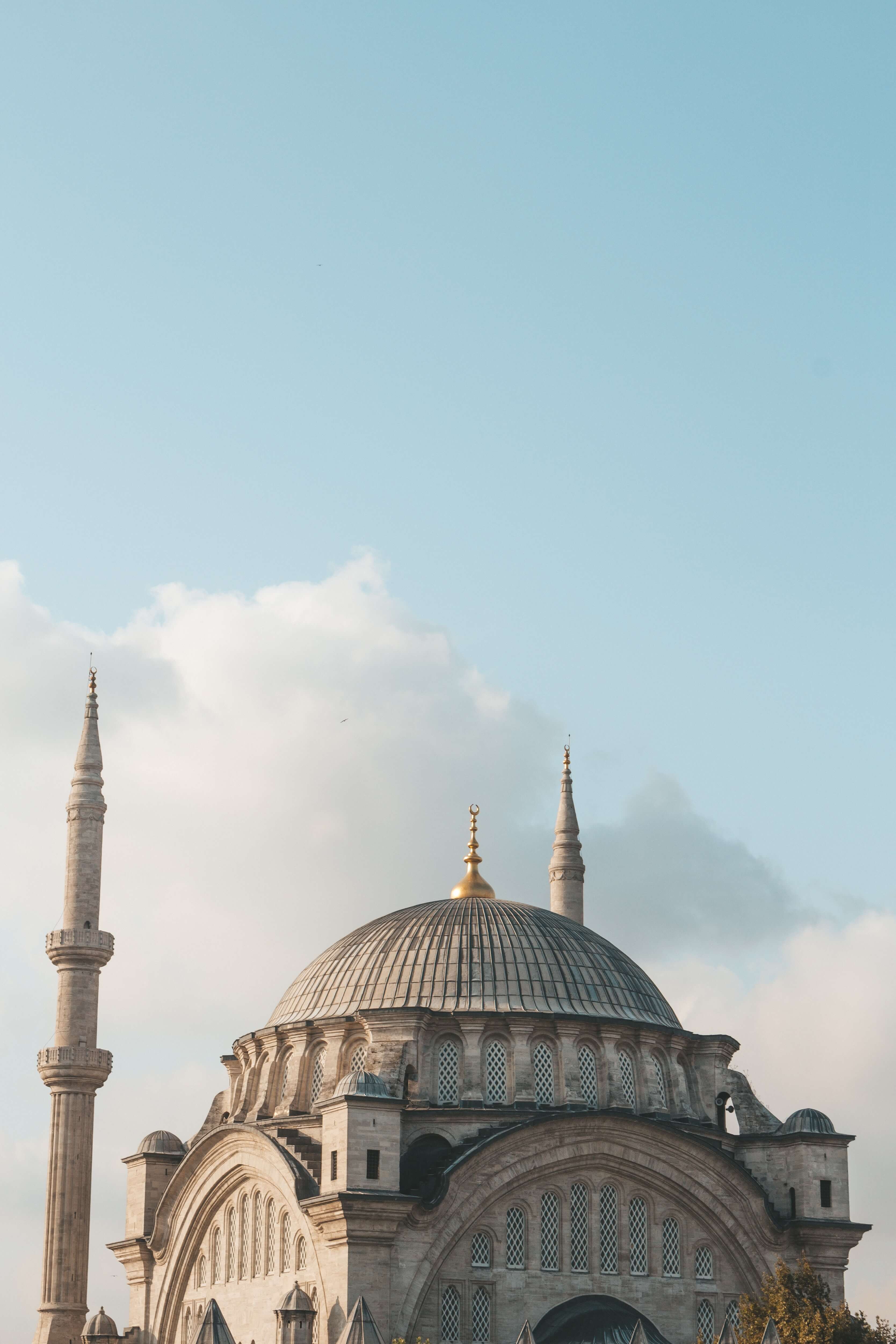 الخلفيات 8